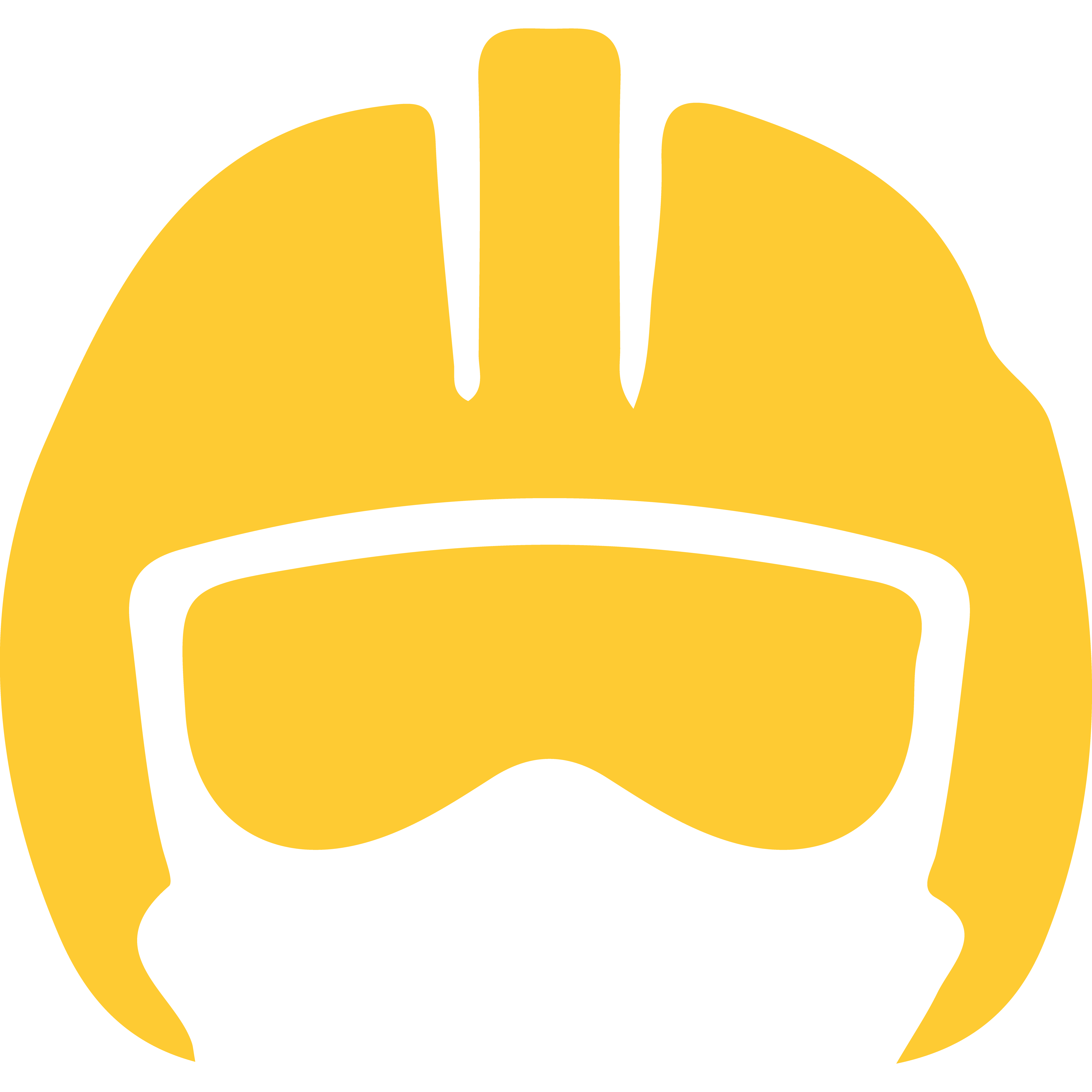 Fighter Pilot
